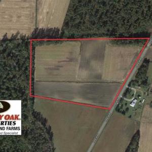 Photo of SOLD!!  17.6 Acres of Farm Land For Sale in Columbus County NC!