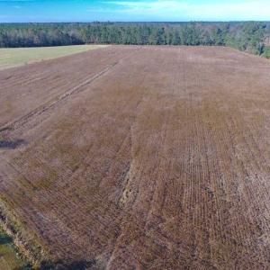 Photo of SOLD!!  17.6 Acres of Farm Land For Sale in Columbus County NC!