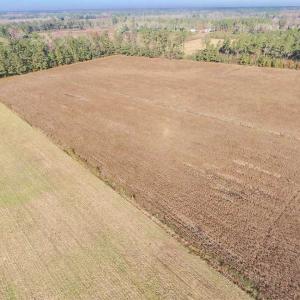 Photo of SOLD!!  17.6 Acres of Farm Land For Sale in Columbus County NC!