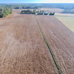 Photo of SOLD!!  17.6 Acres of Farm Land For Sale in Columbus County NC!