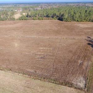 Photo of SOLD!!  17.6 Acres of Farm Land For Sale in Columbus County NC!