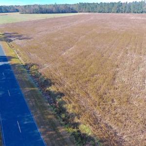 Photo of SOLD!!  17.6 Acres of Farm Land For Sale in Columbus County NC!