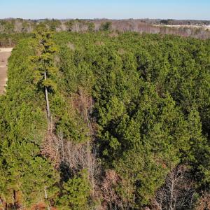 Photo of SOLD!!  12.52 Acres of Recreational Hunting Land For Sale in Nash County NC!