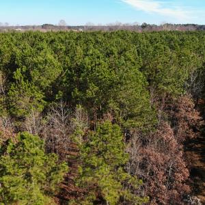 Photo of SOLD!!  12.52 Acres of Recreational Hunting Land For Sale in Nash County NC!