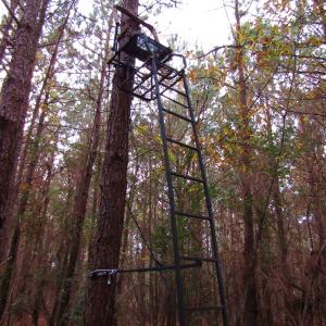 Photo of SOLD!!  12.52 Acres of Recreational Hunting Land For Sale in Nash County NC!