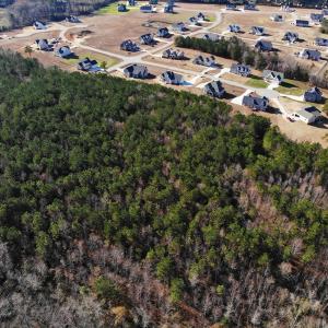 Photo of SOLD!!  12.52 Acres of Recreational Hunting Land For Sale in Nash County NC!