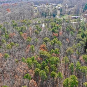 Photo of REDUCED!  1.6 Acres of Residential Hunting Land For Sale in Pittsylvania County VA!
