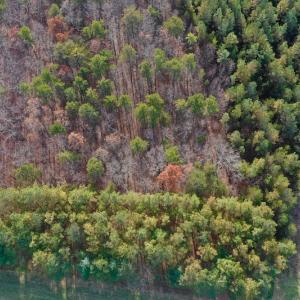 Photo of REDUCED!  1.6 Acres of Residential Hunting Land For Sale in Pittsylvania County VA!