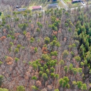 Photo of REDUCED!  1.6 Acres of Residential Hunting Land For Sale in Pittsylvania County VA!