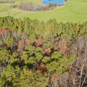 Photo of REDUCED!  1.6 Acres of Residential Hunting Land For Sale in Pittsylvania County VA!