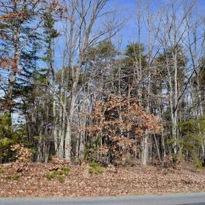 Photo of REDUCED!  1.6 Acres of Residential Hunting Land For Sale in Pittsylvania County VA!
