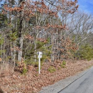 Photo of REDUCED!  1.6 Acres of Residential Hunting Land For Sale in Pittsylvania County VA!