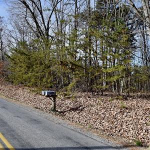 Photo of REDUCED!  1.6 Acres of Residential Hunting Land For Sale in Pittsylvania County VA!
