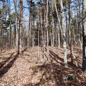 Photo of REDUCED!  1.6 Acres of Residential Hunting Land For Sale in Pittsylvania County VA!