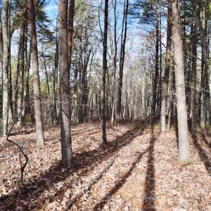 Photo of REDUCED!  1.6 Acres of Residential Hunting Land For Sale in Pittsylvania County VA!