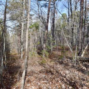 Photo of REDUCED!  1.6 Acres of Residential Hunting Land For Sale in Pittsylvania County VA!