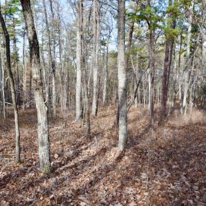 Photo of REDUCED!  1.6 Acres of Residential Hunting Land For Sale in Pittsylvania County VA!