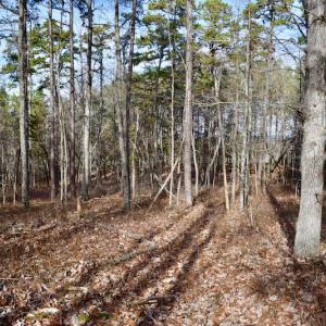 Photo of REDUCED!  1.6 Acres of Residential Hunting Land For Sale in Pittsylvania County VA!