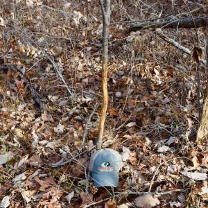 Photo of REDUCED!  1.6 Acres of Residential Hunting Land For Sale in Pittsylvania County VA!