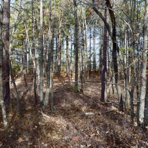 Photo of REDUCED!  1.6 Acres of Residential Hunting Land For Sale in Pittsylvania County VA!