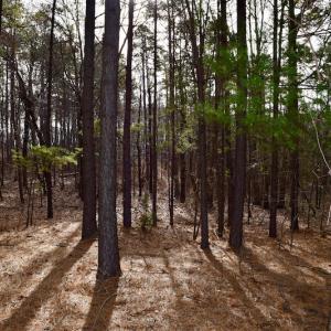 Photo of REDUCED!  1.6 Acres of Residential Hunting Land For Sale in Pittsylvania County VA!