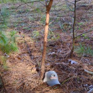 Photo of REDUCED!  1.6 Acres of Residential Hunting Land For Sale in Pittsylvania County VA!