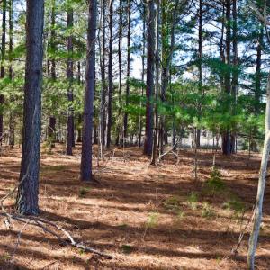 Photo of REDUCED!  1.6 Acres of Residential Hunting Land For Sale in Pittsylvania County VA!