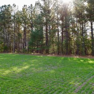 Photo of REDUCED!  1.6 Acres of Residential Hunting Land For Sale in Pittsylvania County VA!