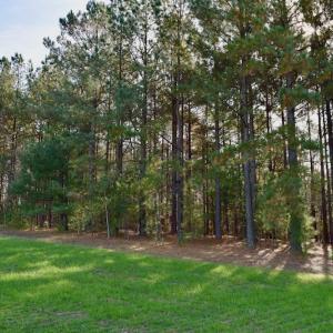 Photo of REDUCED!  1.6 Acres of Residential Hunting Land For Sale in Pittsylvania County VA!
