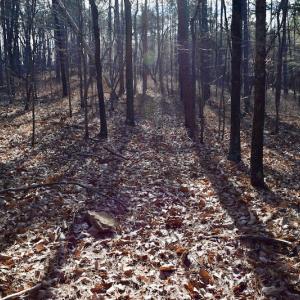 Photo of REDUCED!  1.6 Acres of Residential Hunting Land For Sale in Pittsylvania County VA!