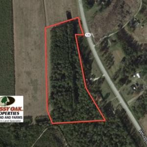 Photo of UNDER CONTRACT!  10 Acres of Timber and Development Land For Sale in Brunswick County NC!