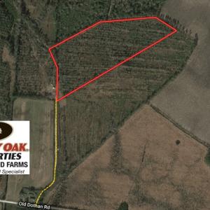 Photo of UNDER CONTRACT!  20 Acres of Hunting and Timber Land for Sale in Columbus County NC!