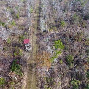 Photo of UNDER CONTRACT!  20 Acres of Hunting and Timber Land for Sale in Columbus County NC!