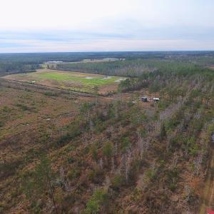 Photo of UNDER CONTRACT!  20 Acres of Hunting and Timber Land for Sale in Columbus County NC!