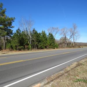 Photo of UNDER CONTRACT!  8 Acres of Timber and Potential Commercial Land For Sale in Scotland County NC!