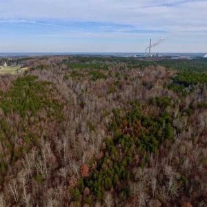 Photo of SOLD!  54 Acres of Hunting and Timber Land For Sale in Person County NC!