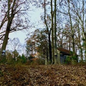 Photo of SOLD!  54 Acres of Hunting and Timber Land For Sale in Person County NC!