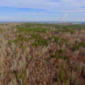 Photo of SOLD!  54 Acres of Hunting and Timber Land For Sale in Person County NC!