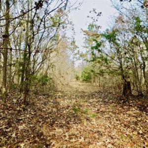 Photo of SOLD!  54 Acres of Hunting and Timber Land For Sale in Person County NC!
