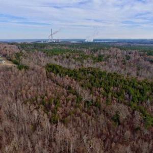 Photo of SOLD!  54 Acres of Hunting and Timber Land For Sale in Person County NC!