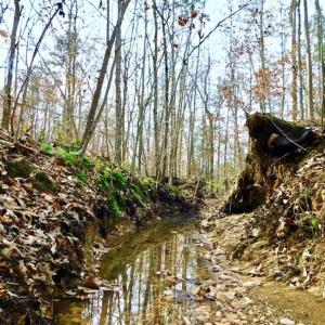 Photo of SOLD!  54 Acres of Hunting and Timber Land For Sale in Person County NC!