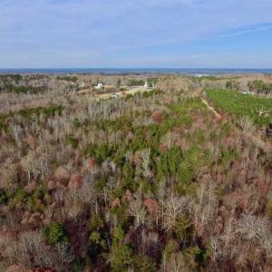 Photo of SOLD!  54 Acres of Hunting and Timber Land For Sale in Person County NC!