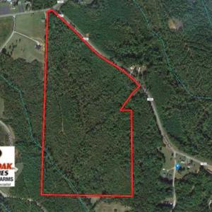 Photo of SOLD!  54 Acres of Hunting and Timber Land For Sale in Person County NC!