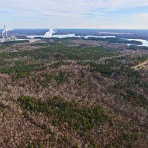 Photo of SOLD!  54 Acres of Hunting and Timber Land For Sale in Person County NC!