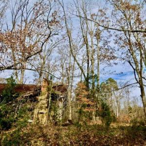 Photo of SOLD!  54 Acres of Hunting and Timber Land For Sale in Person County NC!