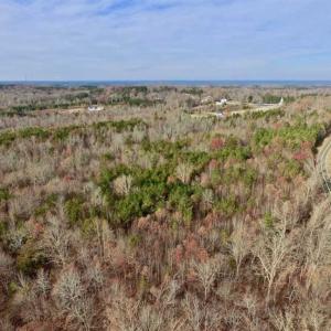 Photo of SOLD!  54 Acres of Hunting and Timber Land For Sale in Person County NC!