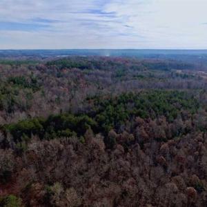 Photo of SOLD!  54 Acres of Hunting and Timber Land For Sale in Person County NC!