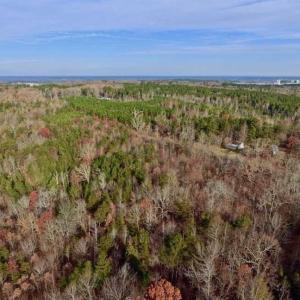 Photo of SOLD!  54 Acres of Hunting and Timber Land For Sale in Person County NC!