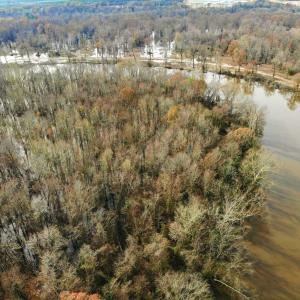 Photo of SOLD!  9.9 Acres of River Front Hunting Land For Sale in Wayne County NC!
