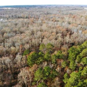 Photo of SOLD!  9.9 Acres of River Front Hunting Land For Sale in Wayne County NC!